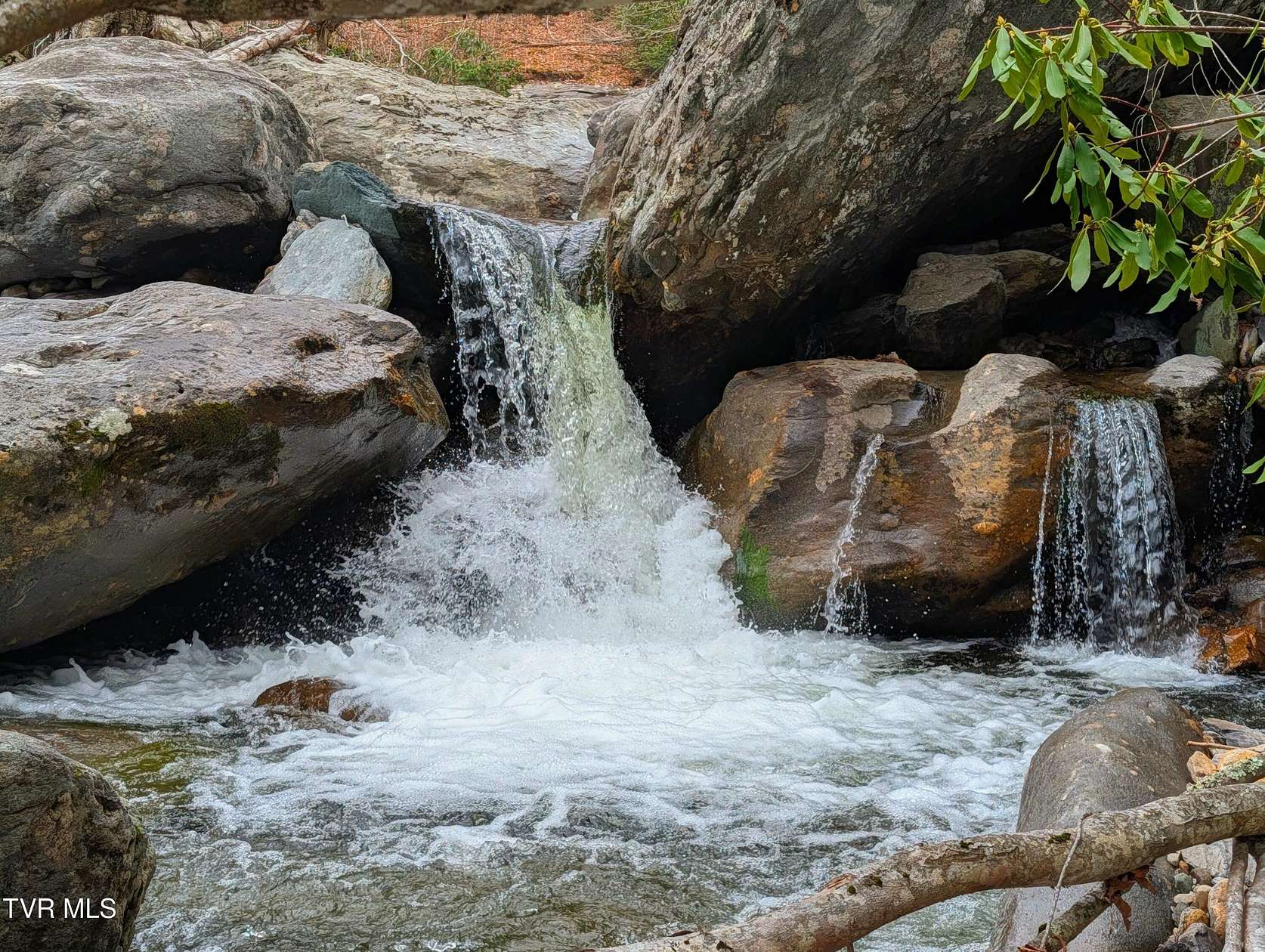 40.4 Acres of Land for Sale in Mouth of Wilson, Virginia