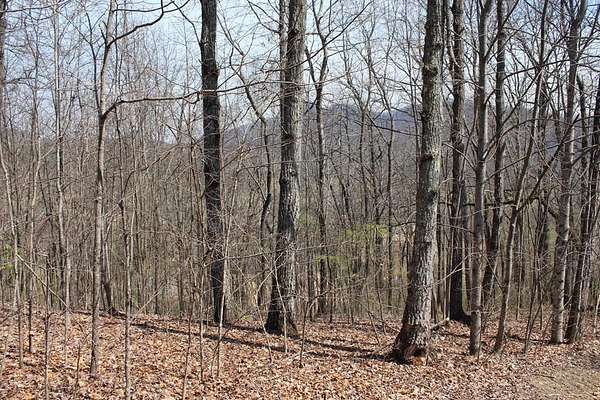 0.87 Acres of Residential Land for Sale in Hayesville, North Carolina