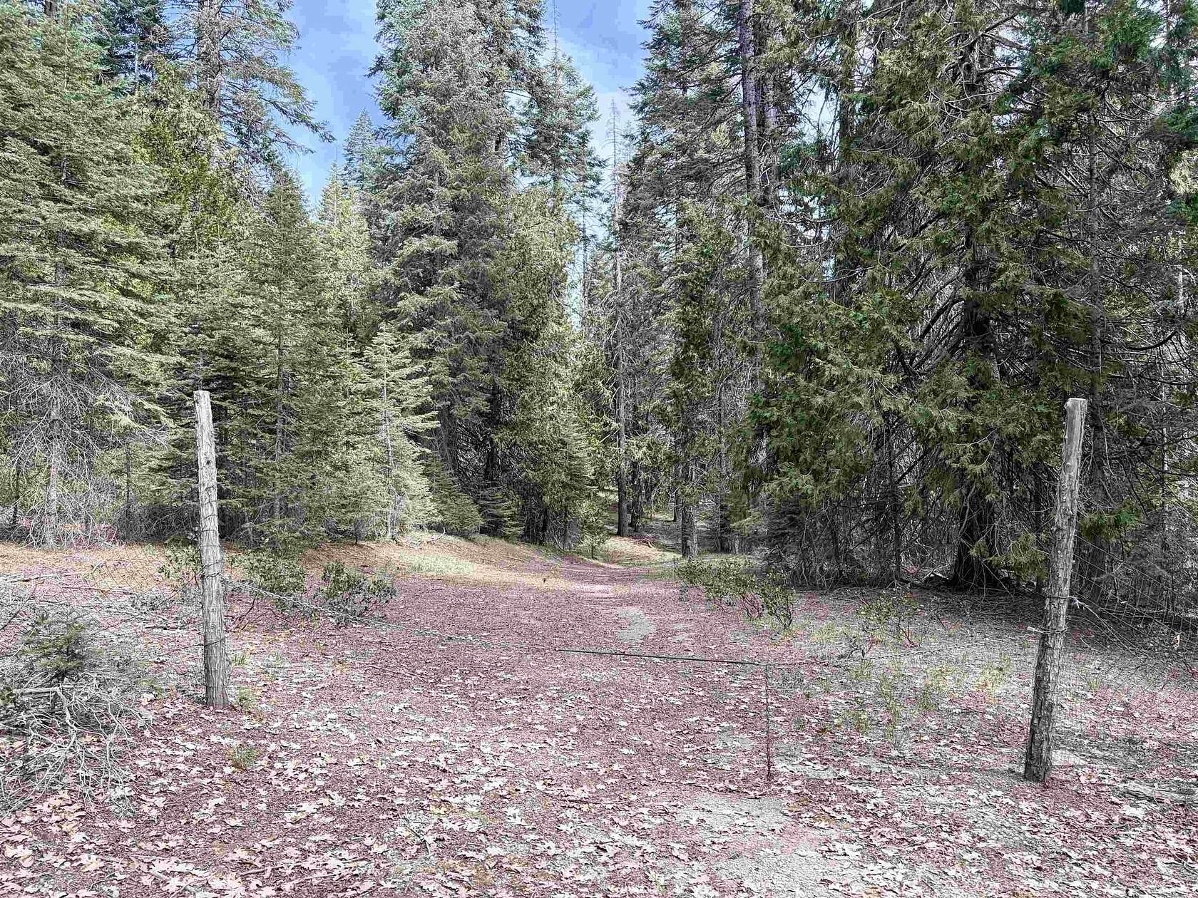 3.6 Acres of Land for Sale in McCloud, California
