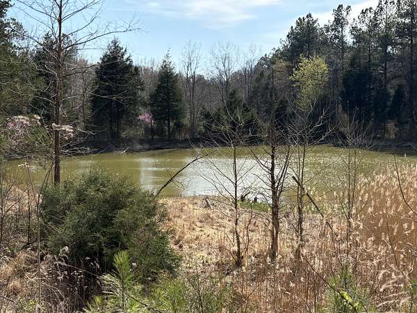 125 Acres of Land for Sale in Greenville, Kentucky