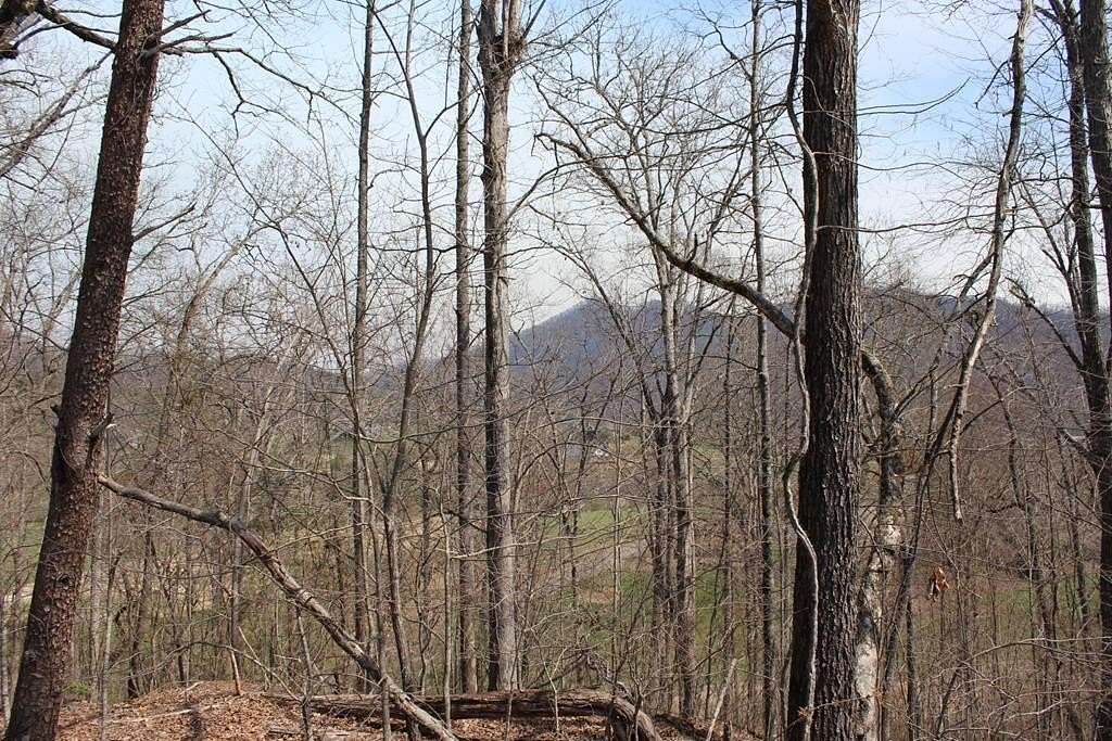 0.48 Acres of Residential Land for Sale in Hayesville, North Carolina