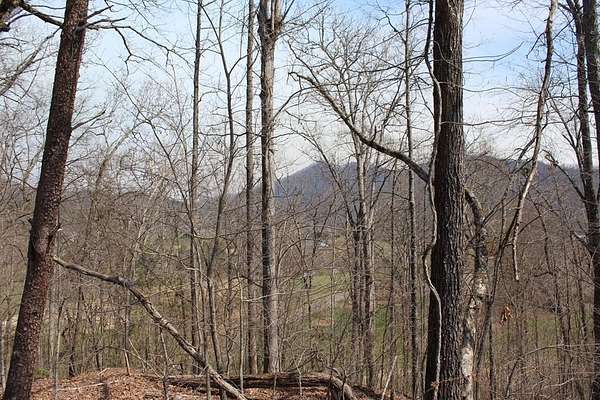 0.48 Acres of Residential Land for Sale in Hayesville, North Carolina