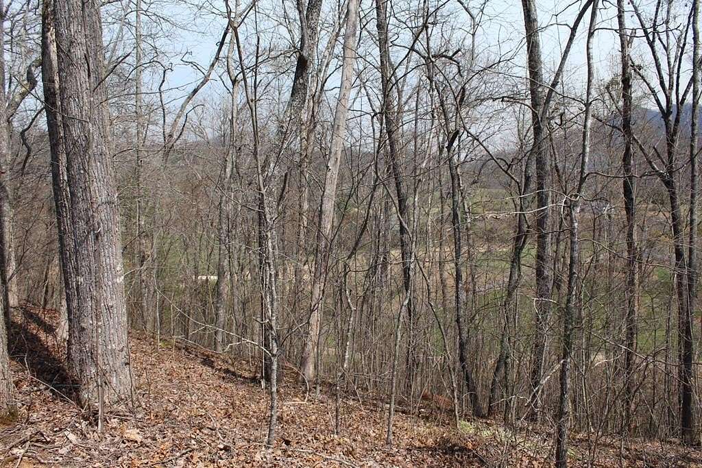 0.88 Acres of Residential Land for Sale in Hayesville, North Carolina