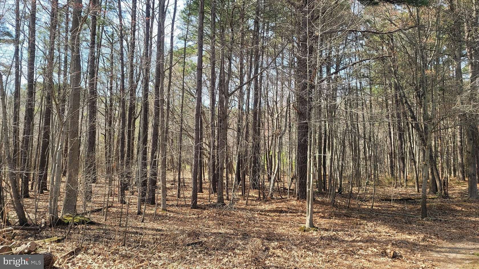 1 Acre of Residential Land for Sale in Grasonville, Maryland