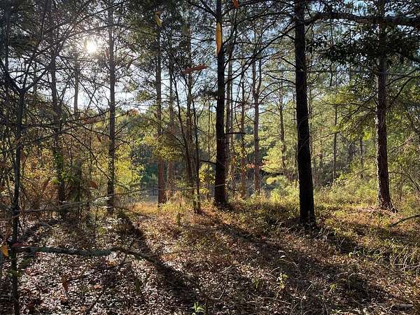 3.79 Acres of Residential Land for Sale in Albany, Georgia