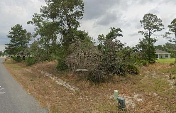 0.29 Acres of Residential Land for Sale in Sebring, Florida