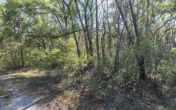0.93 Acres of Residential Land for Sale in Live Oak, Florida