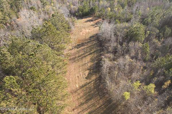 201 Acres of Recreational Land for Sale in McCool, Mississippi