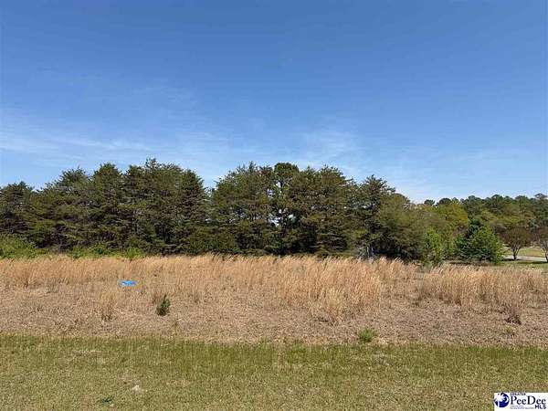 1.1 Acres of Commercial Land for Sale in Dillon, South Carolina