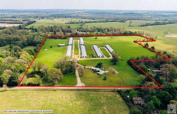 40 Acres of Agricultural Land for Sale in De Queen, Arkansas