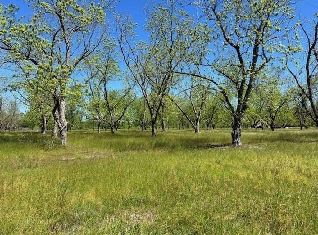 9.36 Acres of Residential Land for Sale in Naylor, Georgia