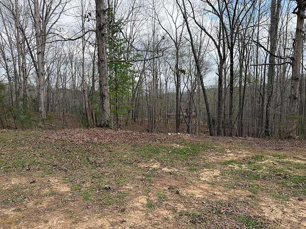 3.5 Acres of Residential Land for Sale in Talking Rock, Georgia