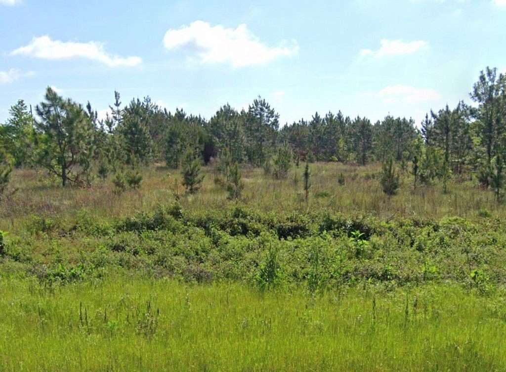 22.6 Acres of Land with Home for Sale in Ambrose, Georgia