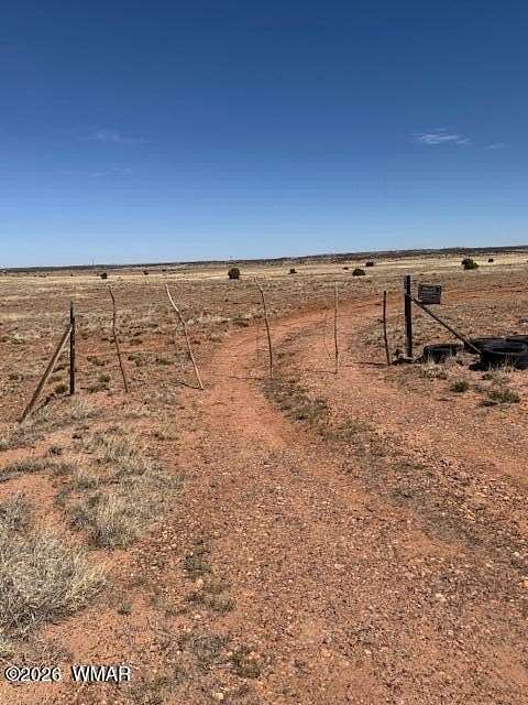 90.4 Acres of Recreational & Residential Land for Sale in Concho, Arizona