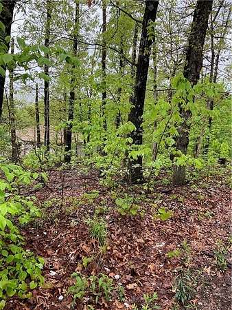 0.35 Acres of Residential Land for Sale in Bella Vista, Arkansas