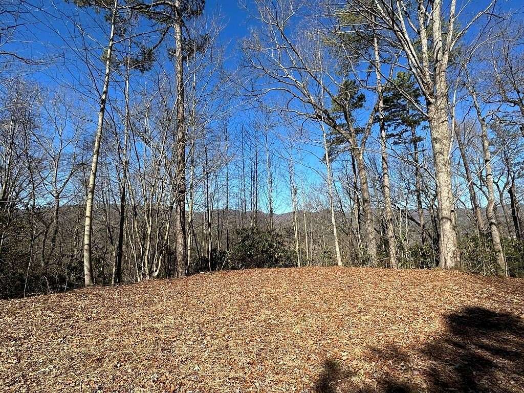 Residential Land for Sale in Marble, North Carolina