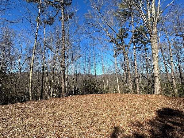 Residential Land for Sale in Marble, North Carolina