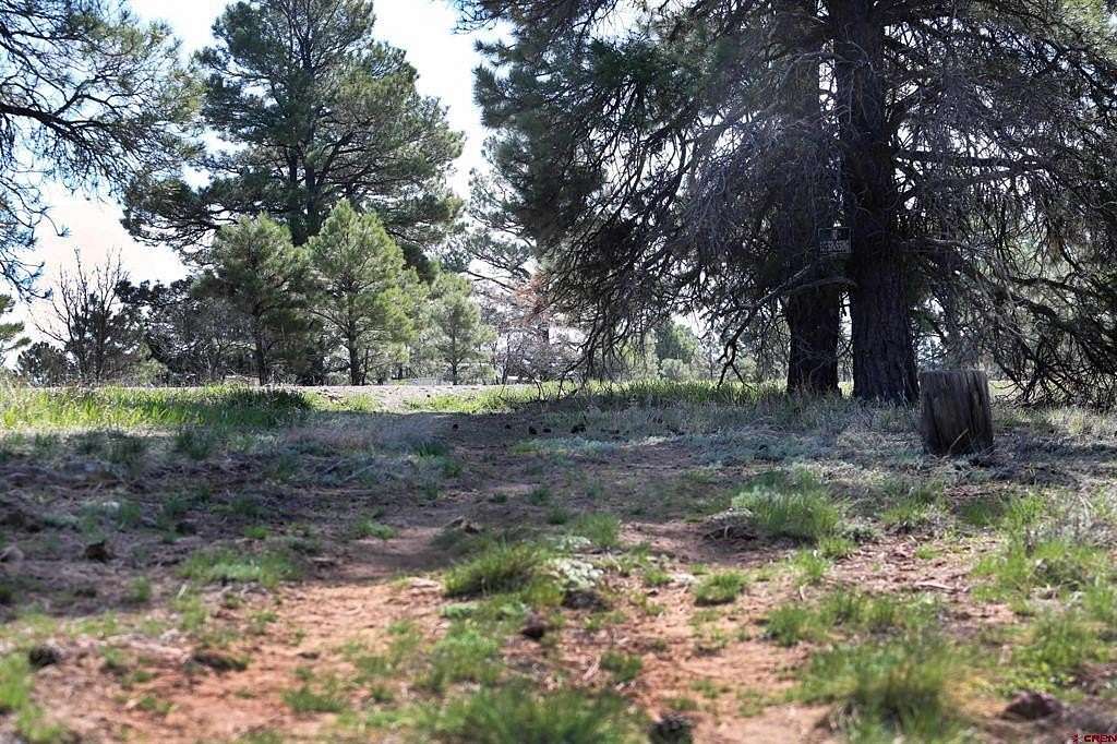 0.11 Acres of Residential Land for Sale in Pagosa Springs, Colorado