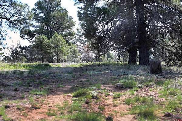 0.11 Acres of Residential Land for Sale in Pagosa Springs, Colorado