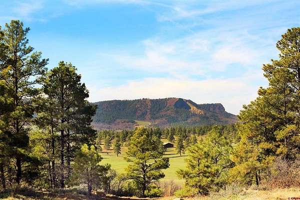 0.11 Acres of Residential Land for Sale in Pagosa Springs, Colorado