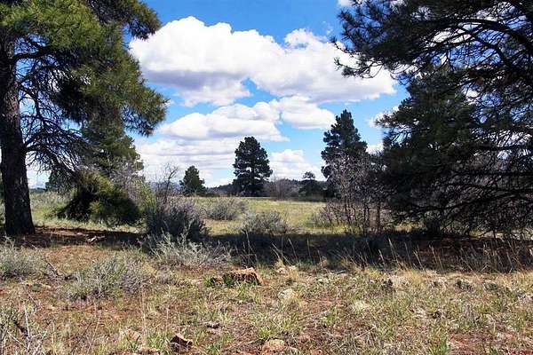 0.11 Acres of Residential Land for Sale in Pagosa Springs, Colorado
