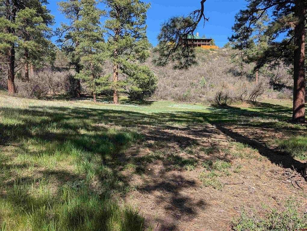 1 Acre of Residential Land for Sale in Pagosa Springs, Colorado