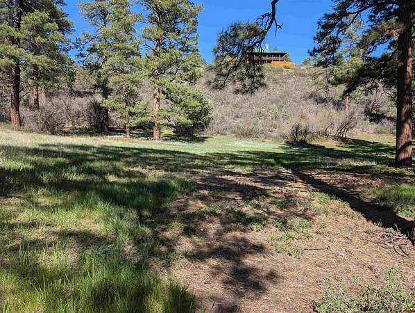 1 Acre of Residential Land for Sale in Pagosa Springs, Colorado