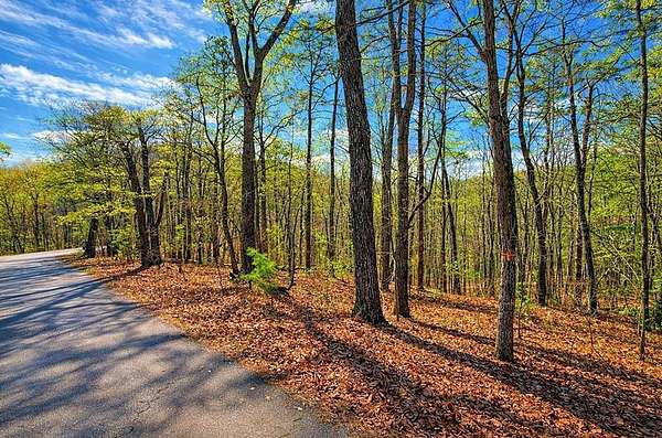 2.23 Acres of Residential Land for Sale in Talking Rock, Georgia