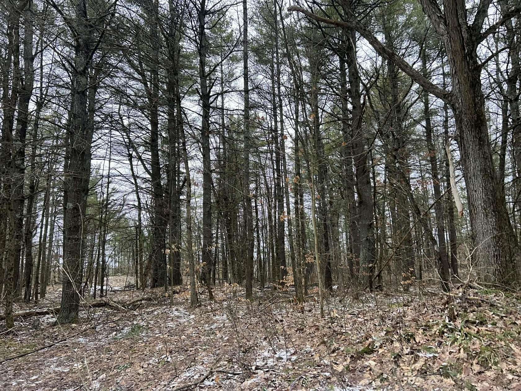 5.6 Acres of Land for Sale in Hammond, New York