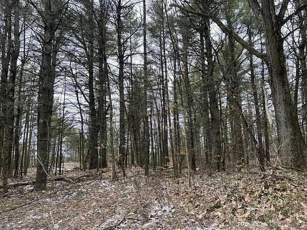 5.6 Acres of Land for Sale in Hammond, New York