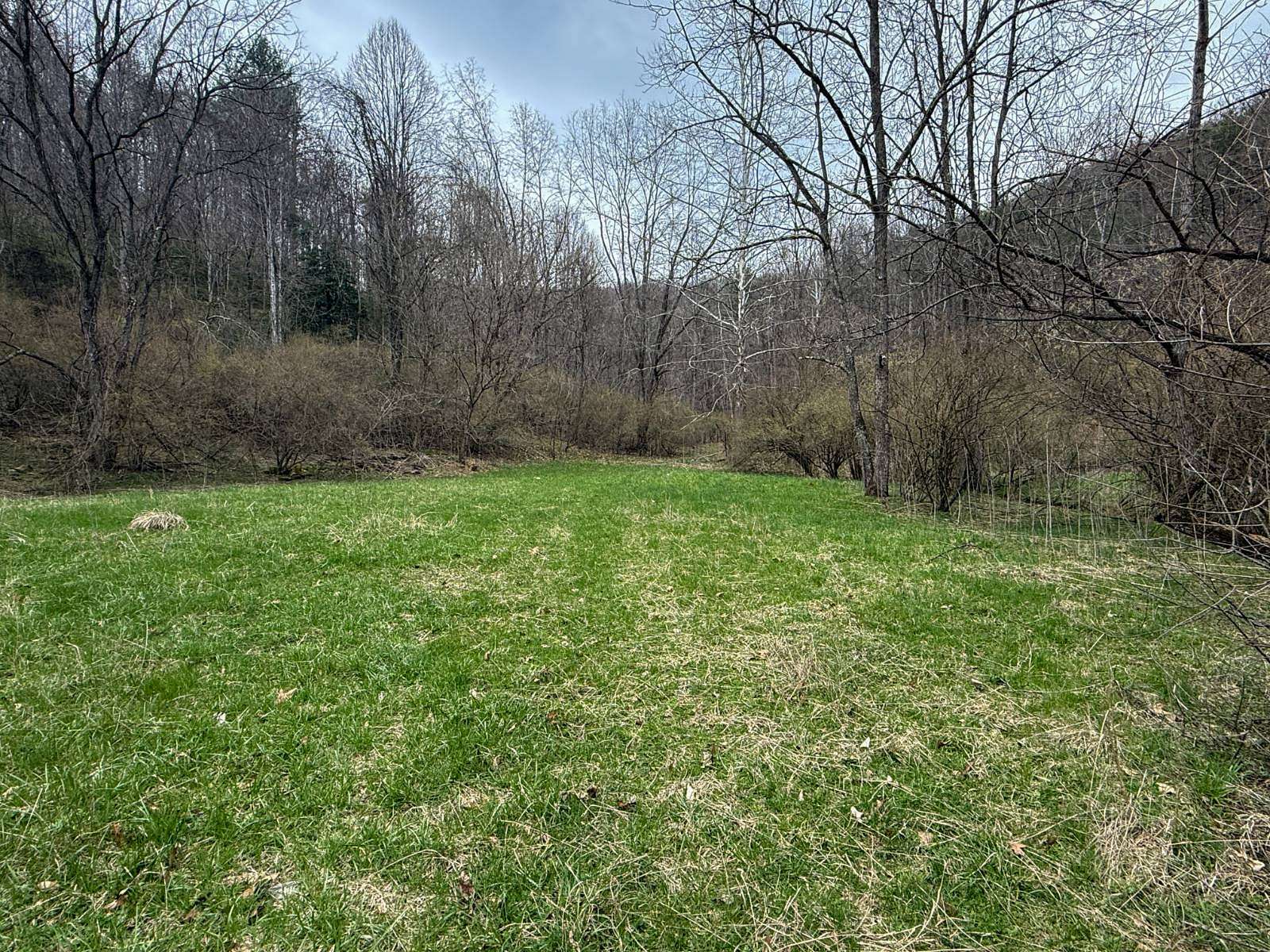 71 Acres of Land for Sale in Ireland, West Virginia