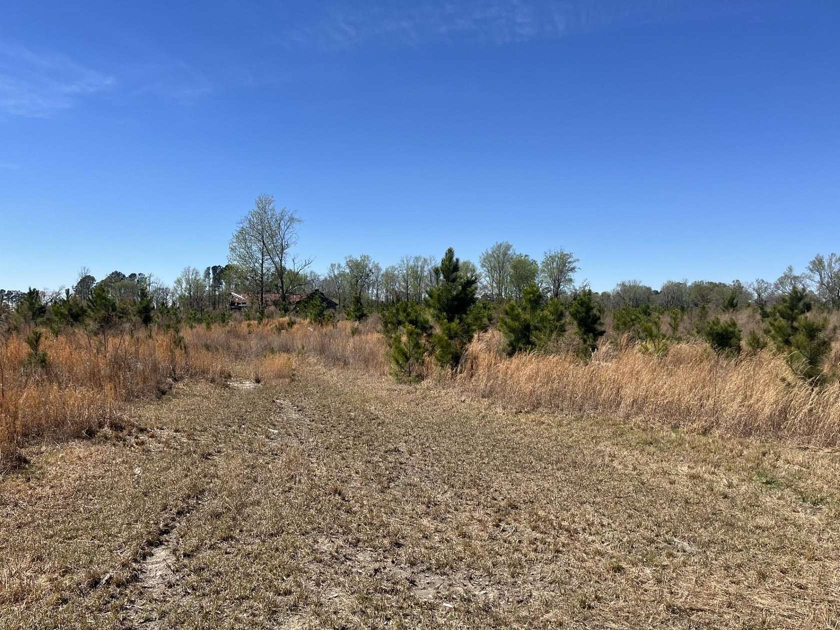 51.8 Acres of Recreational Land for Sale in Blenheim, South Carolina