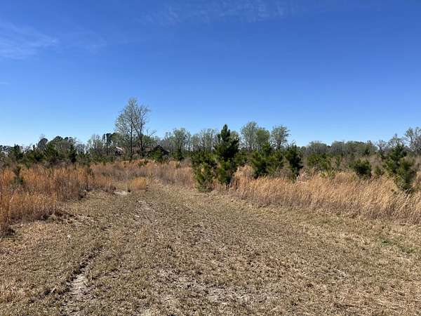 51.8 Acres of Recreational Land for Sale in Blenheim, South Carolina