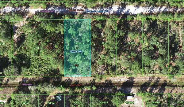 0.5 Acres of Land for Sale in Indian Lake Estates, Florida