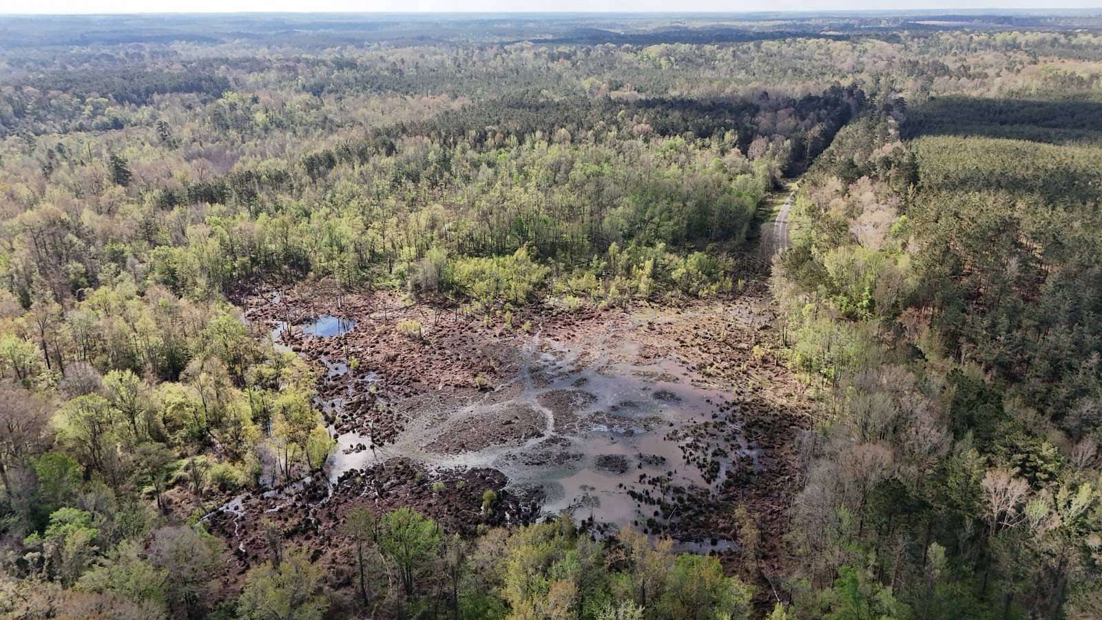 80 Acres of Recreational Land for Sale in Columbia, Louisiana