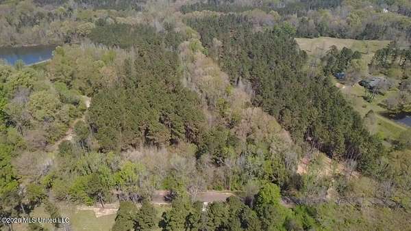 16.9 Acres of Recreational Land for Sale in Canton, Mississippi