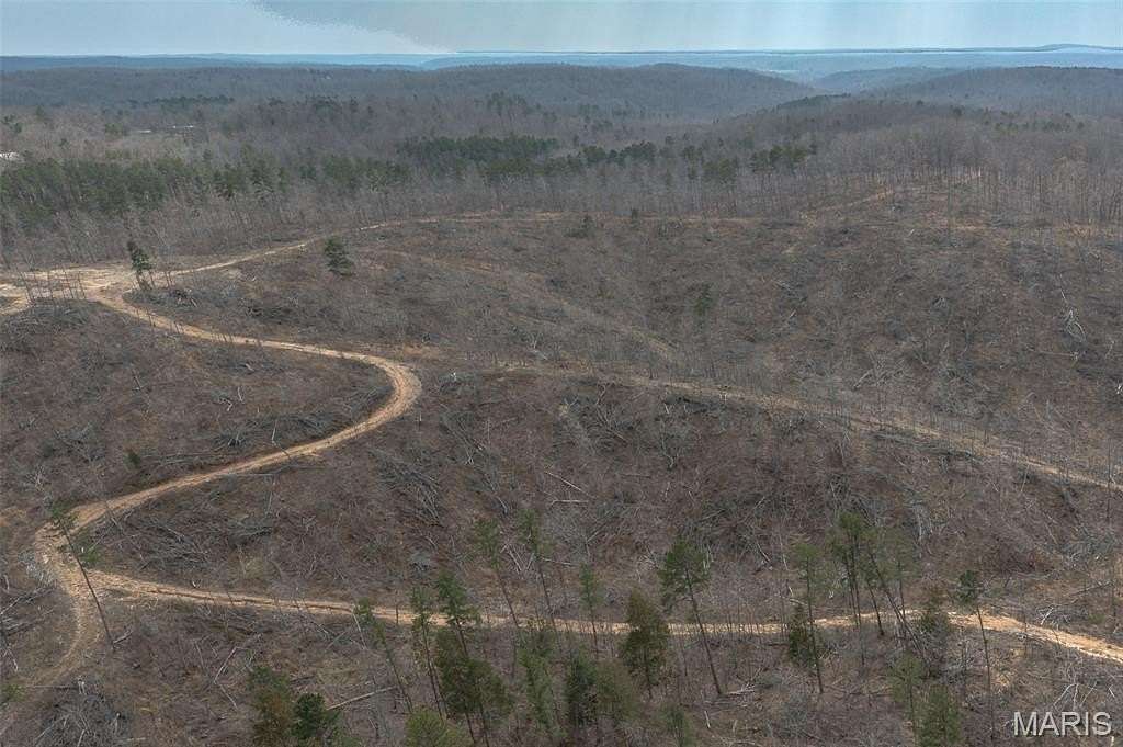 88 Acres of Land for Sale in Marquand, Missouri