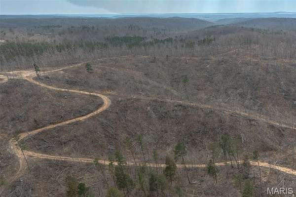 88 Acres of Land for Sale in Marquand, Missouri