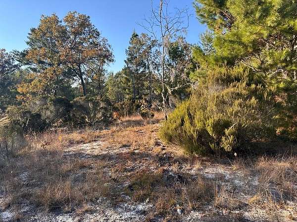 1.25 Acres of Residential Land for Sale in Archer, Florida