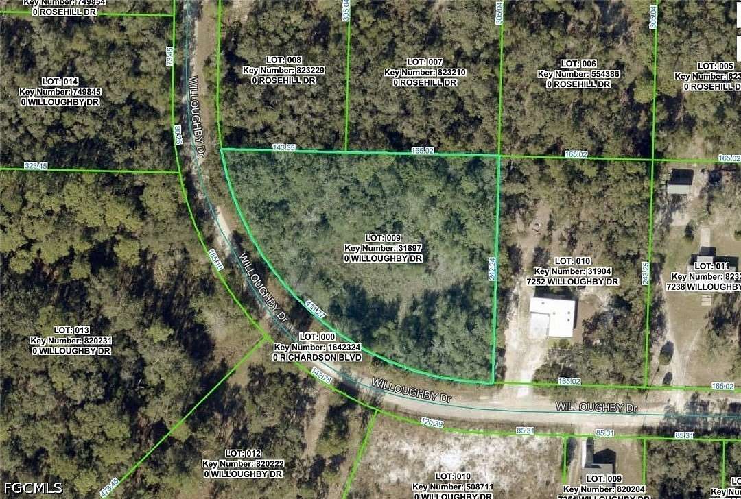 1.24 Acres of Residential Land for Sale in Webster, Florida