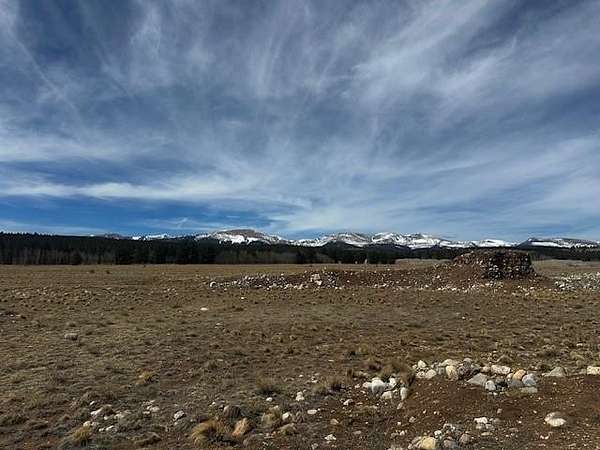 8.26 Acres of Residential Land for Sale in Fairplay, Colorado