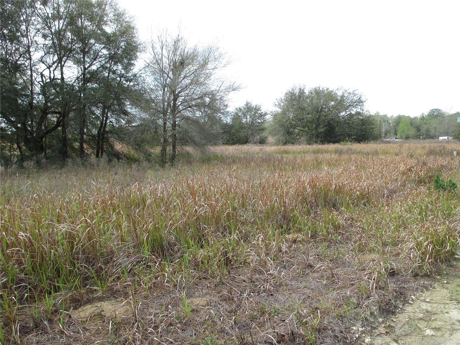 0.24 Acres of Residential Land for Sale in Ocala, Florida