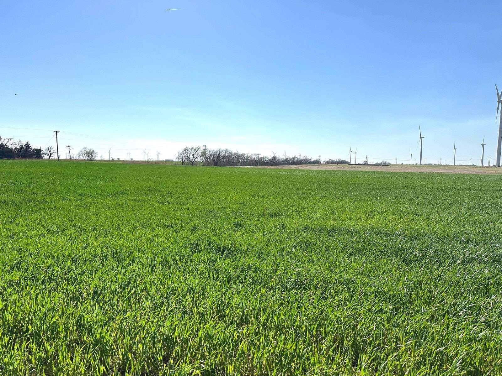 136 Acres of Agricultural Land for Sale in Hunter, Oklahoma