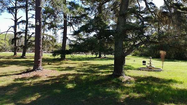 11.3 Acres of Land for Sale in Pavo, Georgia