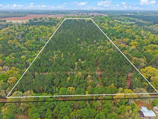 29.9 Acres of Recreational & Residential Land for Sale in Flomaton, Alabama