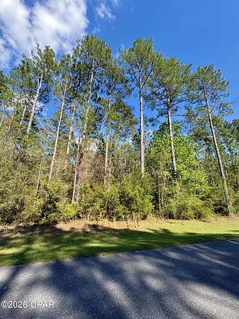 3.6 Acres of Residential Land for Sale in Vernon, Florida