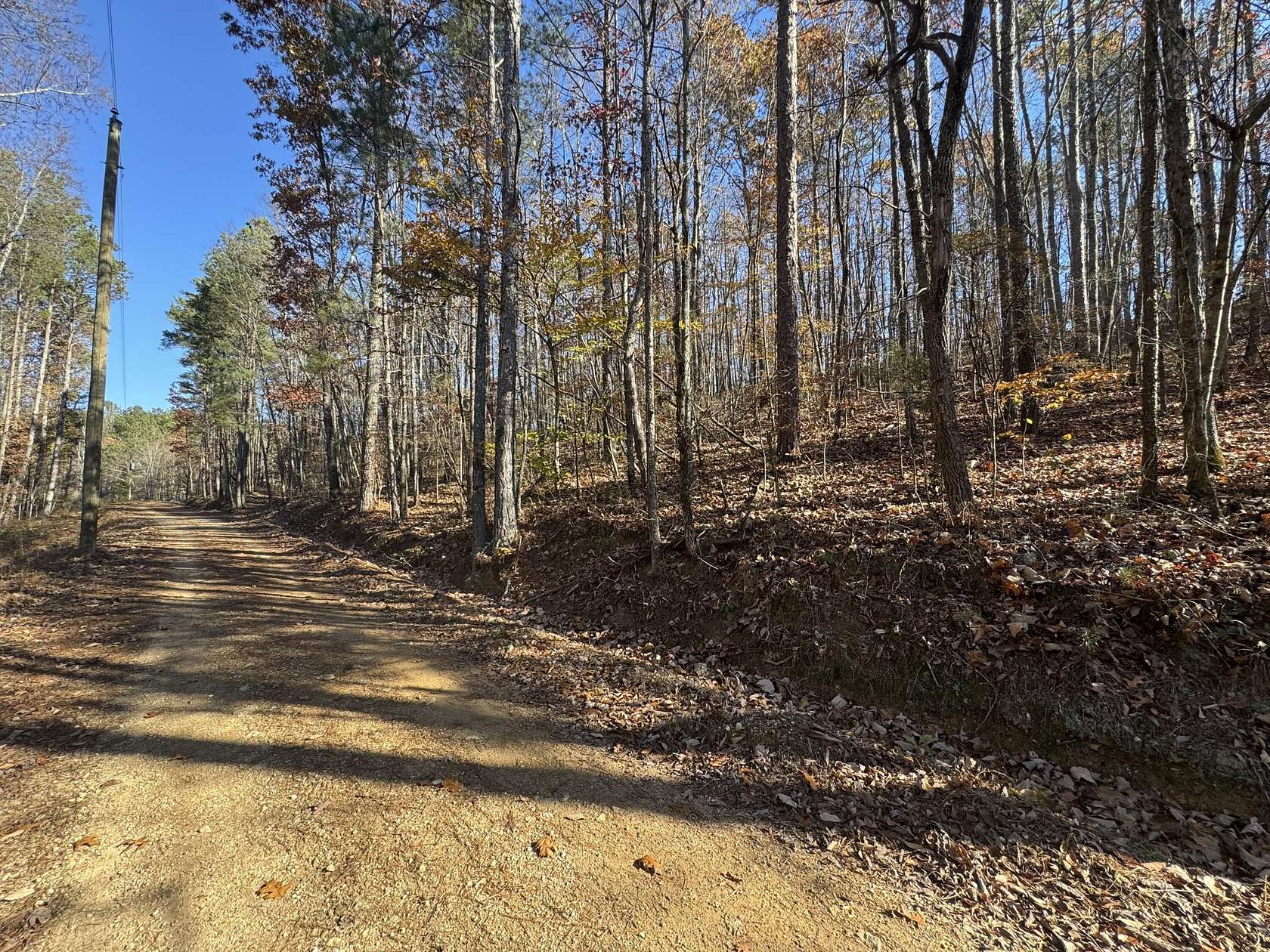 28 Acres of Recreational Land for Sale in Collinsville, Alabama