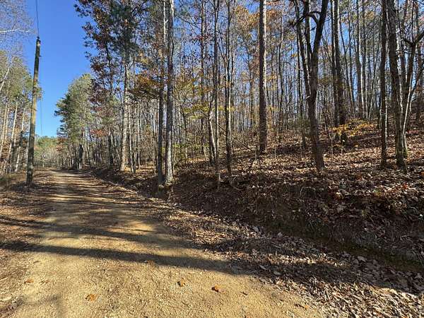 28 Acres of Recreational Land for Sale in Collinsville, Alabama