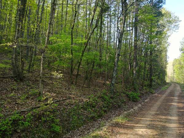 28 Acres of Recreational Land for Sale in Collinsville, Alabama