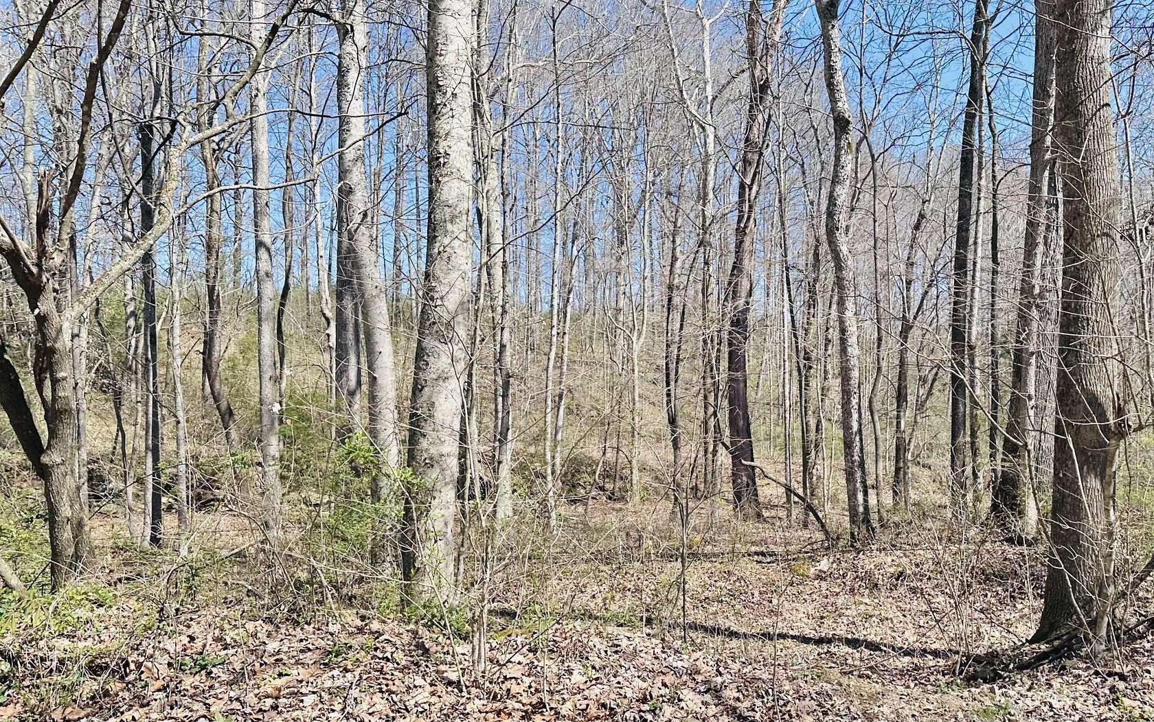 1 Acre of Residential Land for Sale in Eubank, Kentucky